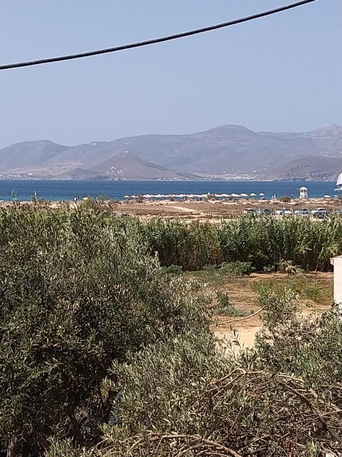 Nikoletta Studios 1 Agios Prokopios  Exterior foto